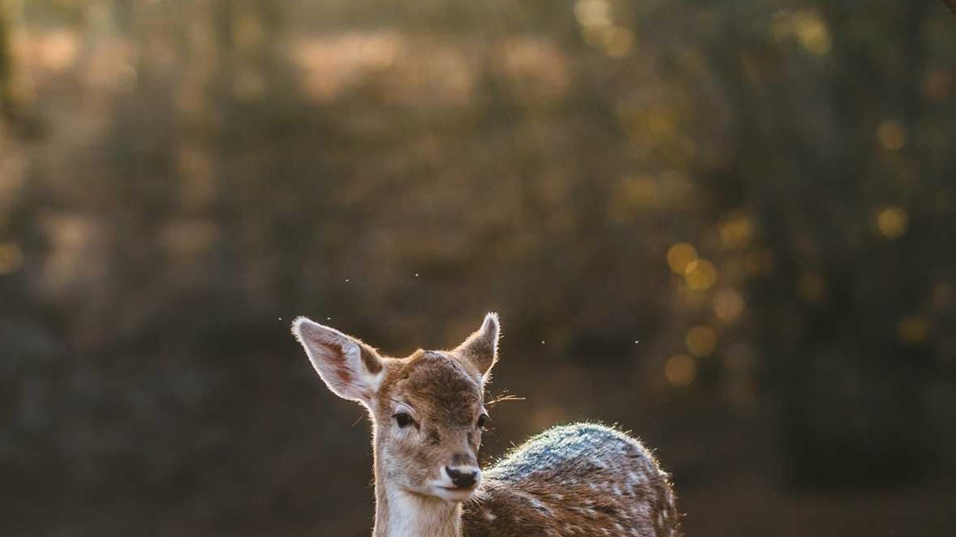 液滴攝影藝術(shù)