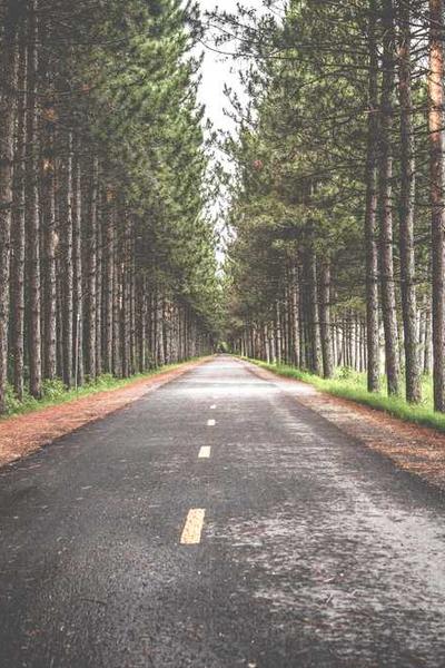 液體表面張力的科學(xué)原理與應(yīng)用