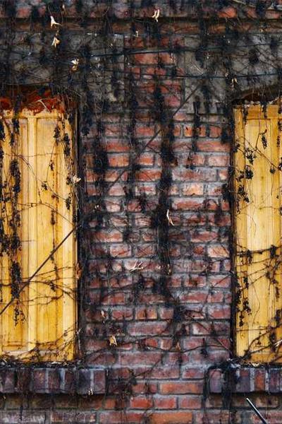 國際數(shù)學(xué)奧林匹克競(jìng)賽