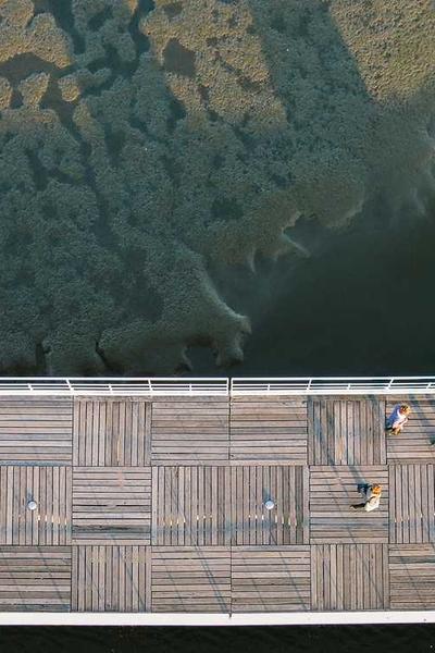 國際青少年科學(xué)競(jìng)賽