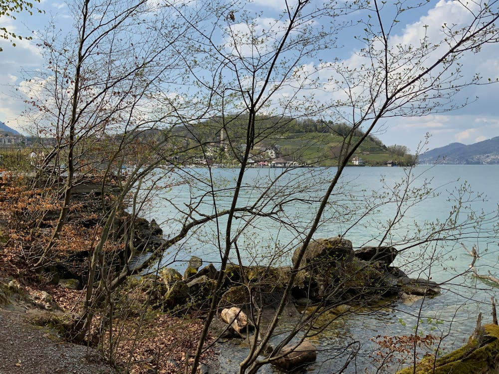 周末美食探店指南